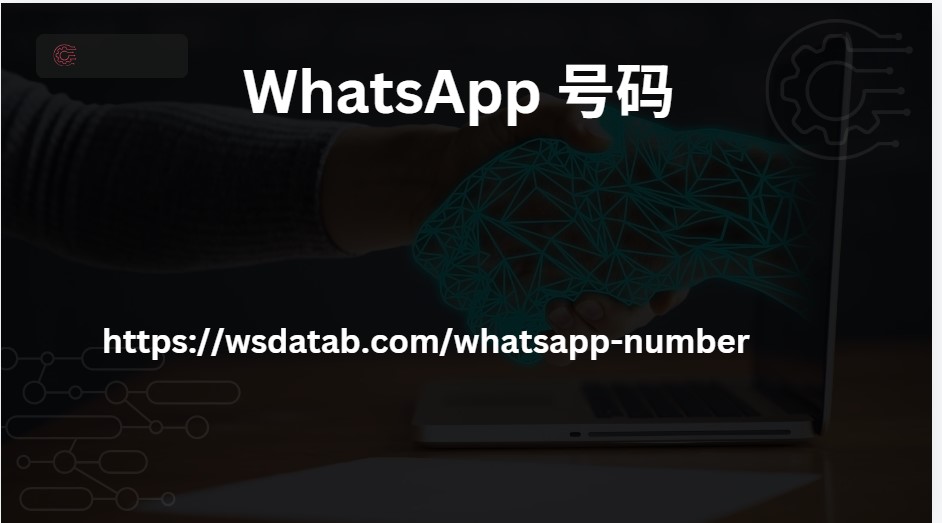 WhatsApp 号码