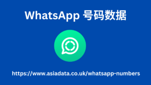 WhatsApp 号码数据