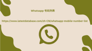 Whatsapp 号码列表