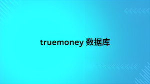 truemoney 数据库