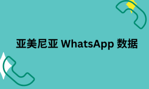 亚美尼亚 WhatsApp 数据