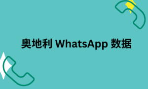 奥地利 WhatsApp 数据