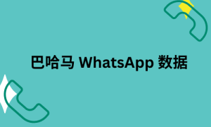 巴哈马 WhatsApp 数据