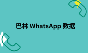 巴林 WhatsApp 数据