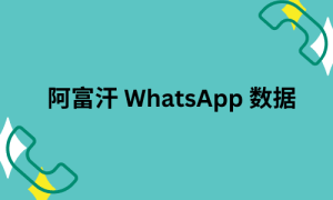 阿富汗 WhatsApp 数据