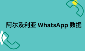 阿尔及利亚 WhatsApp 数据