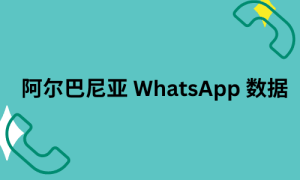 阿尔巴尼亚 WhatsApp 数据